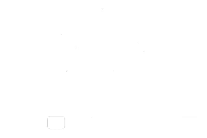 Đồ thể thao Gym GOZILAC